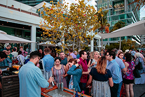 NWS Friends - Experience Auction