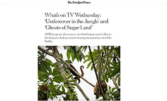 nytimes.com