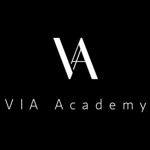 Fellows host Virtual Inclusion Artist summer academy